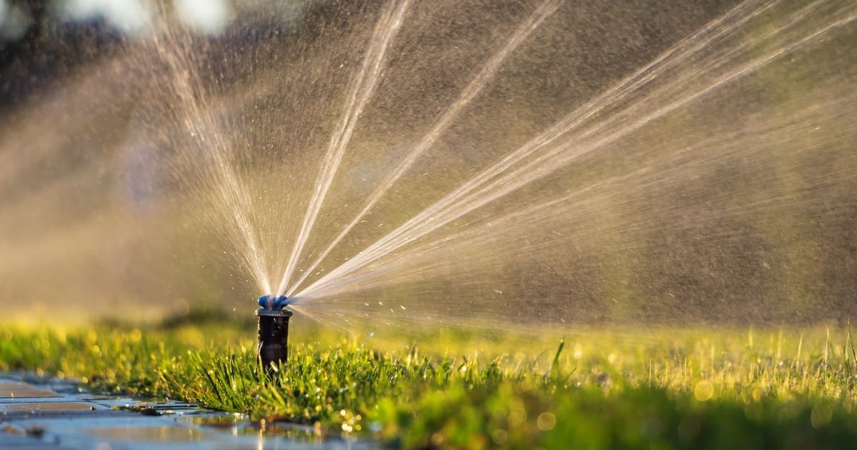A close-up view of a lawn sprinkler spraying water droplets over fresh green grass, illustrating how often to water new sod Colorado to establish strong roots.