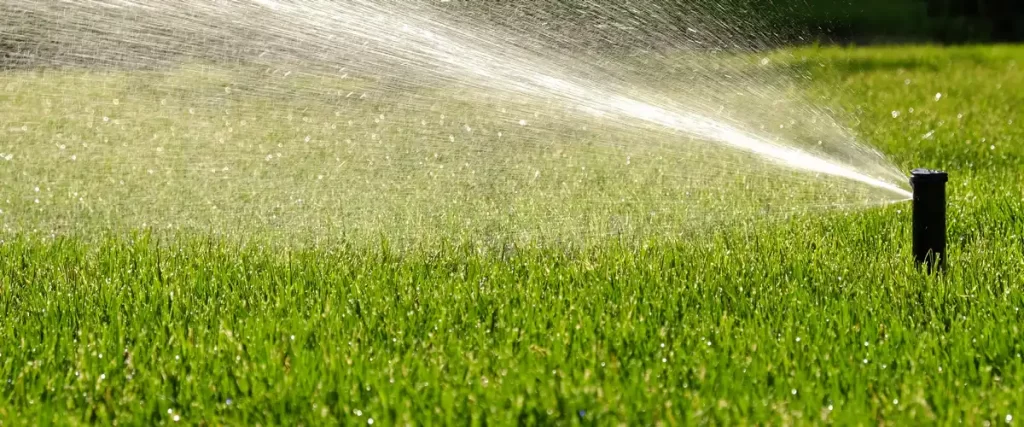 A single pop-up sprinkler actively spraying a wide stream of water across a bright green patch of newly laid sod.